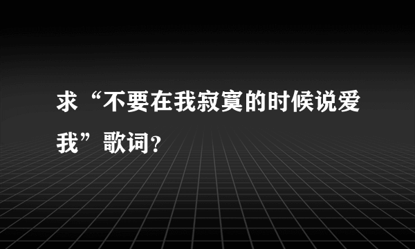 求“不要在我寂寞的时候说爱我”歌词？