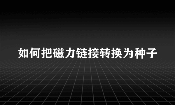 如何把磁力链接转换为种子