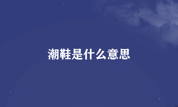 潮鞋是什么意思