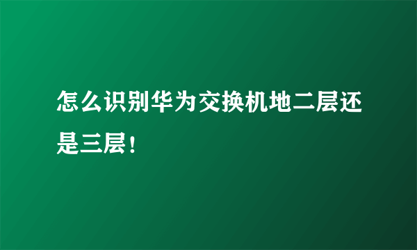 怎么识别华为交换机地二层还是三层！