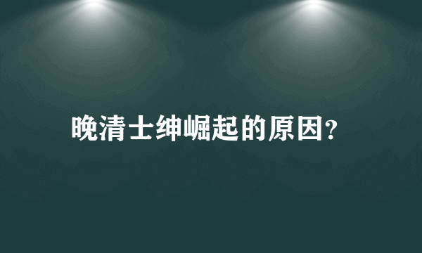 晚清士绅崛起的原因？