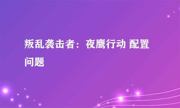 叛乱袭击者：夜鹰行动 配置问题