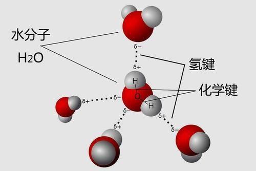 化学键类型有哪些？