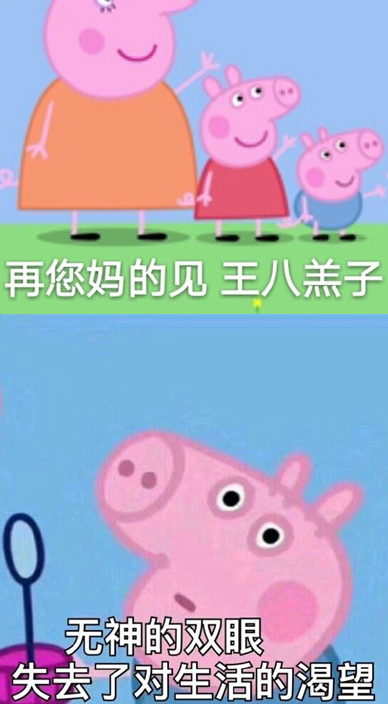 社会，社会是什么意思？