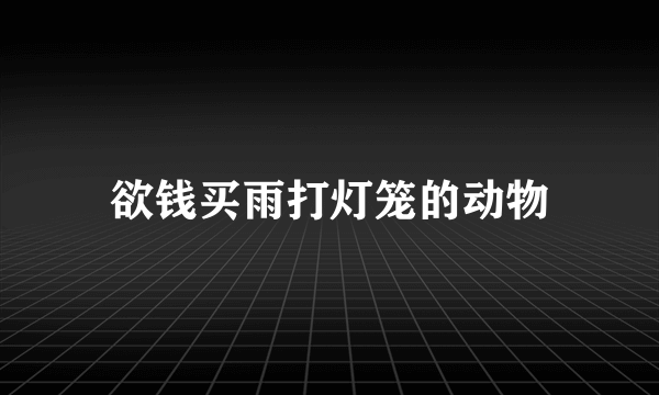 欲钱买雨打灯笼的动物