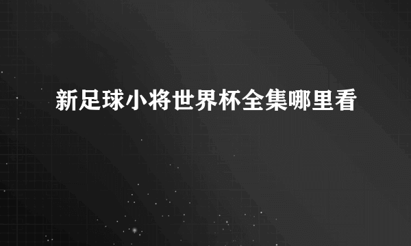 新足球小将世界杯全集哪里看