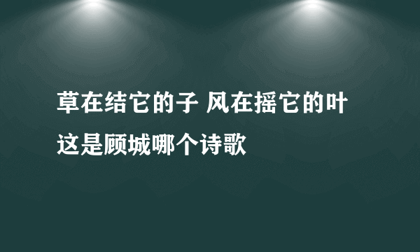 草在结它的子 风在摇它的叶这是顾城哪个诗歌