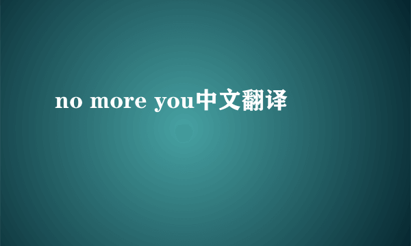 no more you中文翻译