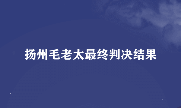 扬州毛老太最终判决结果