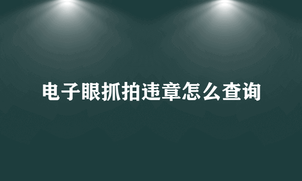 电子眼抓拍违章怎么查询