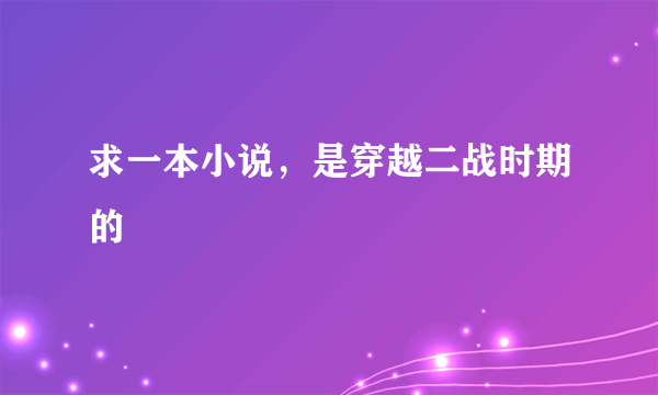 求一本小说，是穿越二战时期的