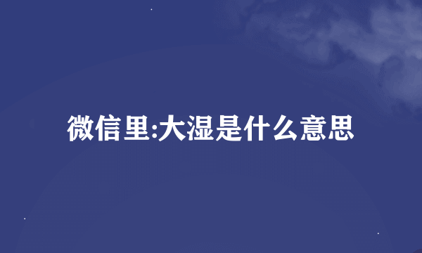 微信里:大湿是什么意思