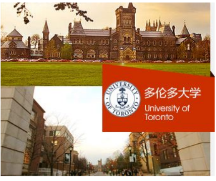 多伦多的大学有哪些大学