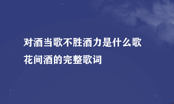 对酒当歌不胜酒力是什么歌 花间酒的完整歌词