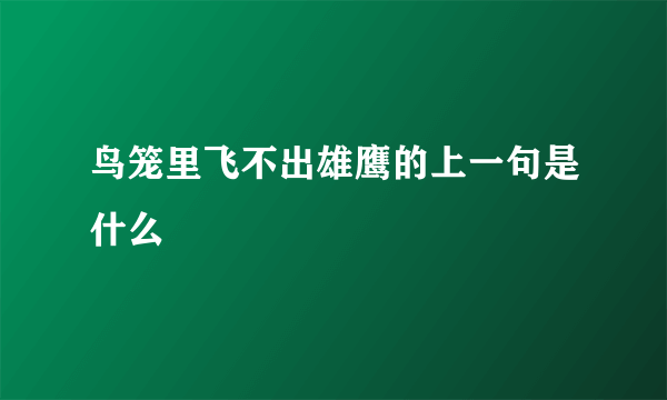 鸟笼里飞不出雄鹰的上一句是什么