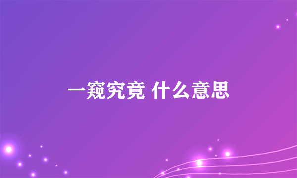 一窥究竟 什么意思