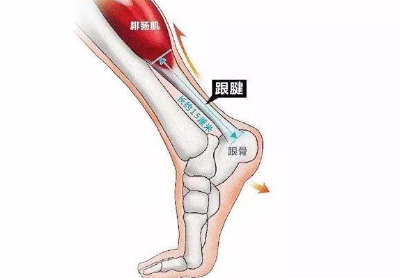 煤矿工人常见的职业病有那些