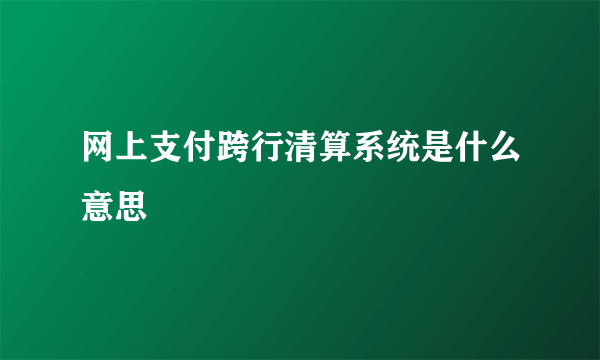 网上支付跨行清算系统是什么意思