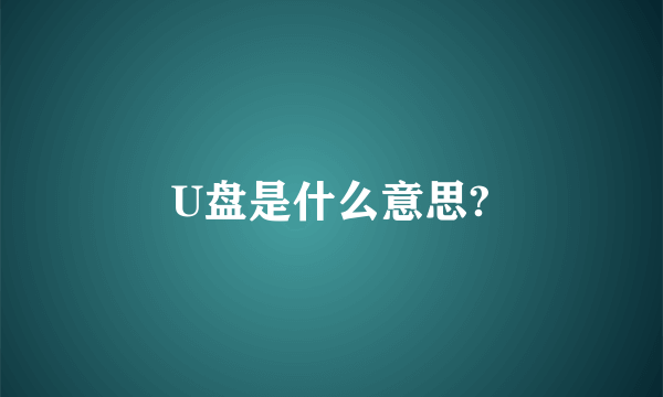 U盘是什么意思?