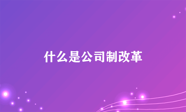 什么是公司制改革