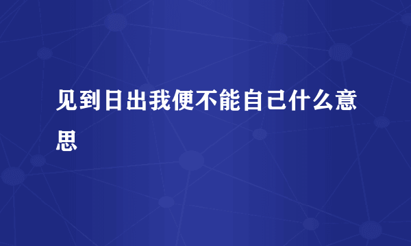 见到日出我便不能自己什么意思