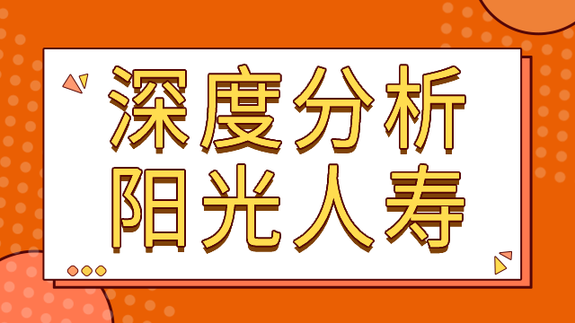 阳光人寿怎么样好不好可靠吗?