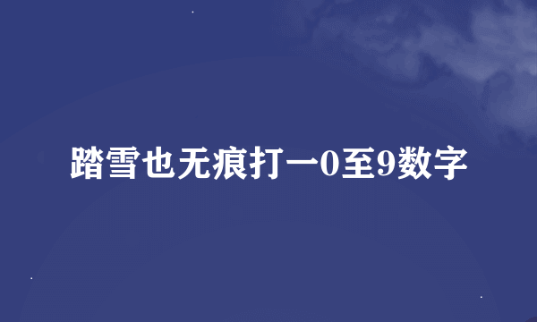 踏雪也无痕打一0至9数字