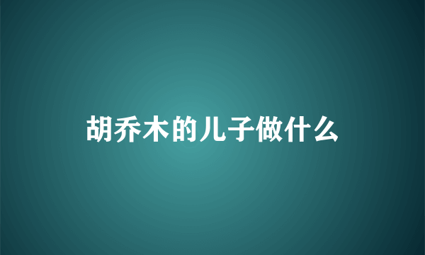 胡乔木的儿子做什么