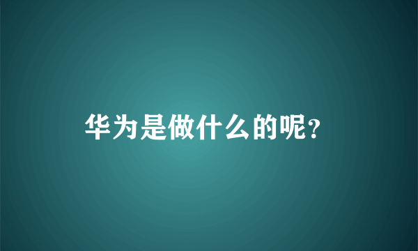 华为是做什么的呢？