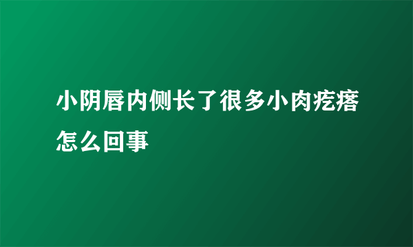 小阴唇内侧长了很多小肉疙瘩怎么回事