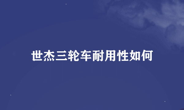 世杰三轮车耐用性如何