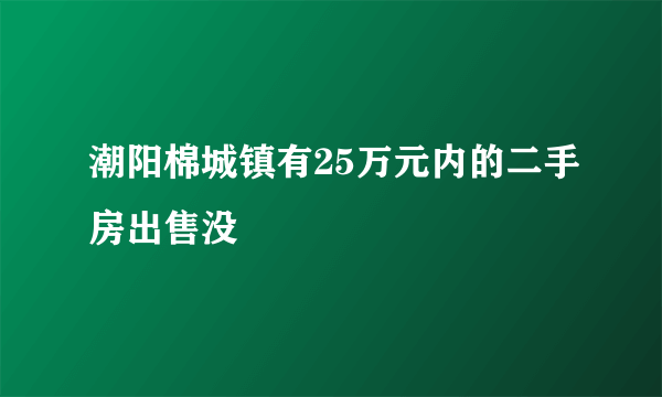 潮阳棉城镇有25万元内的二手房出售没