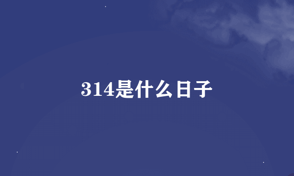 314是什么日子