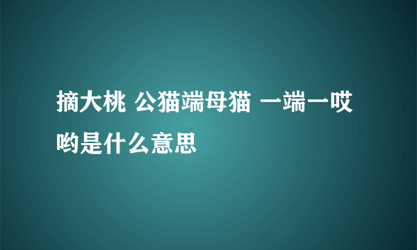 摘大桃 公猫端母猫 一端一哎哟是什么意思