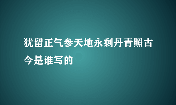 犹留正气参天地永剩丹青照古今是谁写的