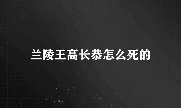 兰陵王高长恭怎么死的