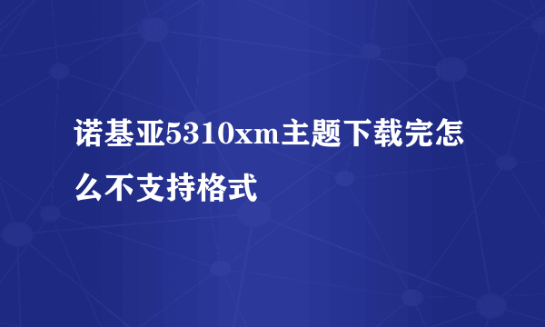 诺基亚5310xm主题下载完怎么不支持格式