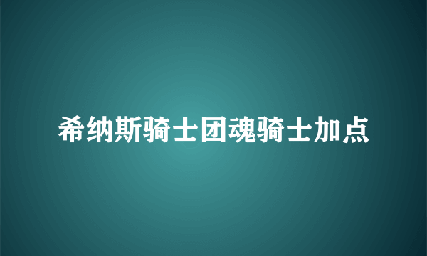 希纳斯骑士团魂骑士加点