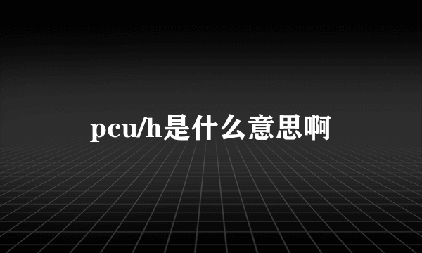 pcu/h是什么意思啊