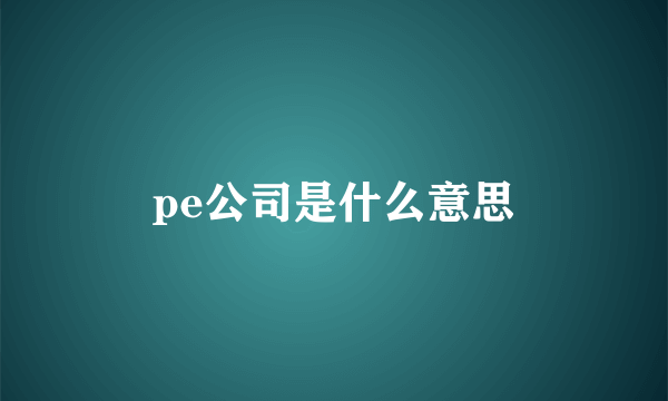 pe公司是什么意思