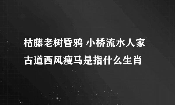 枯藤老树昏鸦 小桥流水人家古道西风瘦马是指什么生肖