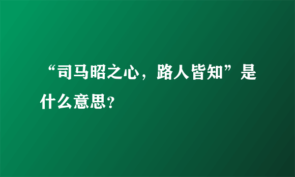 “司马昭之心，路人皆知”是什么意思？