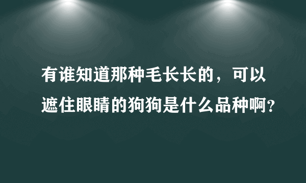 有谁知道那种毛长长的，可以遮住眼睛的狗狗是什么品种啊？