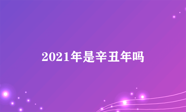 2021年是辛丑年吗