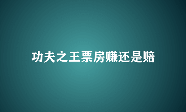 功夫之王票房赚还是赔