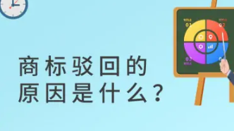 瑞士保险公司暂停使用Z字商标，此举的原因有哪些？