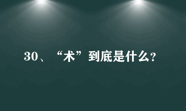 30、“术”到底是什么？