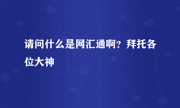 请问什么是网汇通啊？拜托各位大神