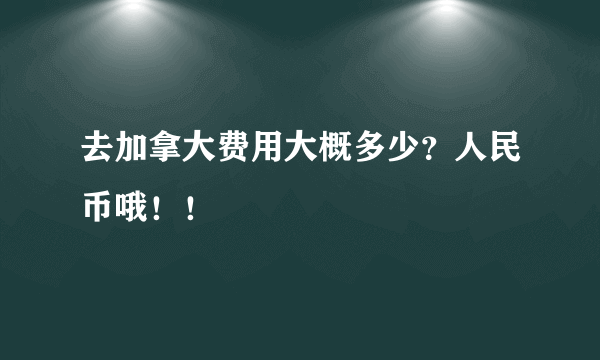 去加拿大费用大概多少？人民币哦！！