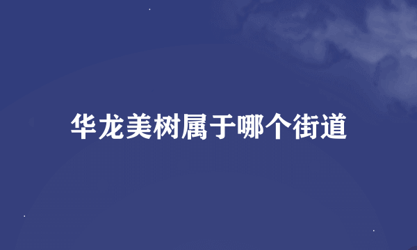 华龙美树属于哪个街道